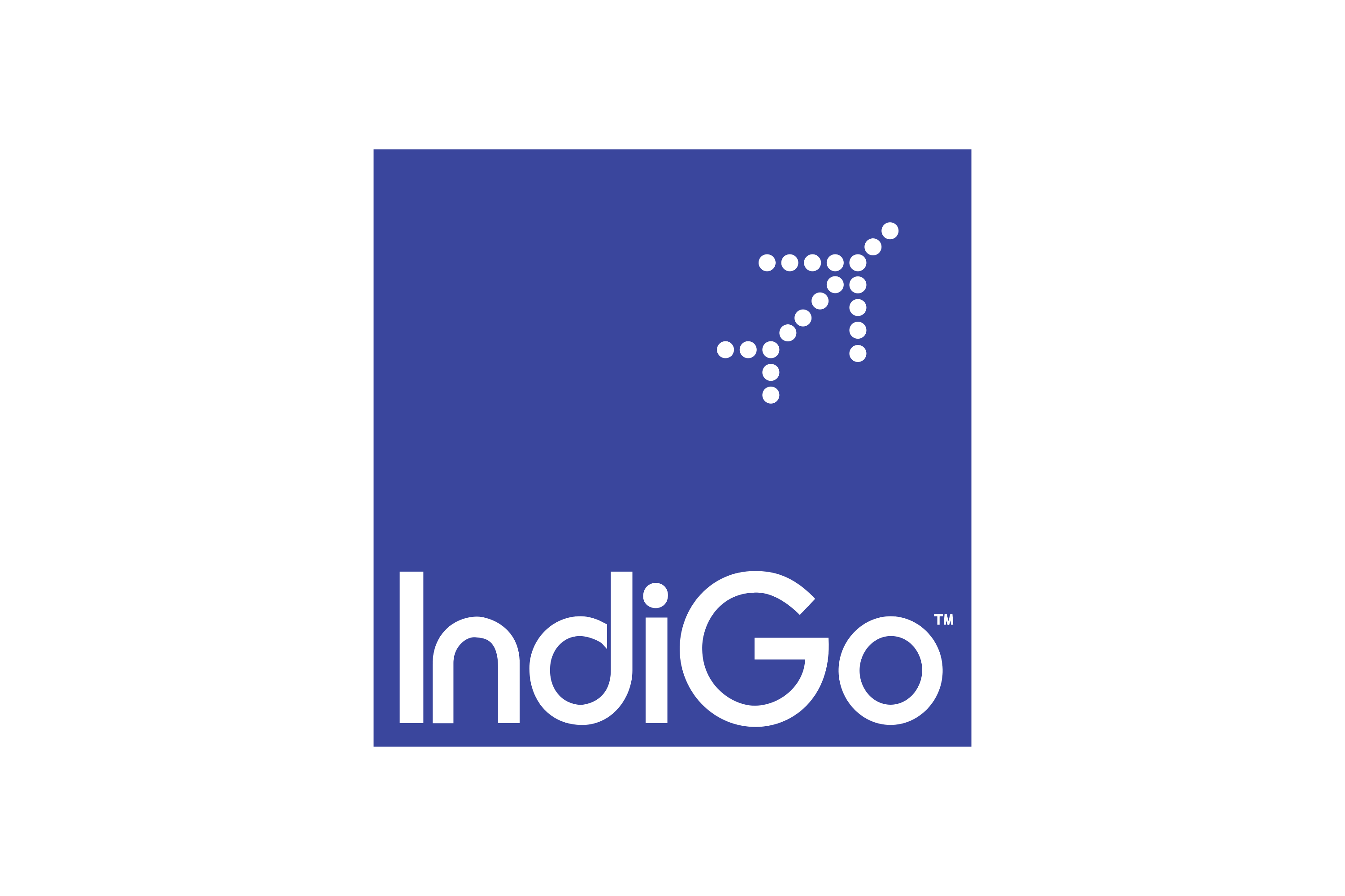 IndiGo IndiGo